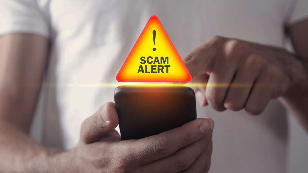 Person holding phone with the words scam alert above.