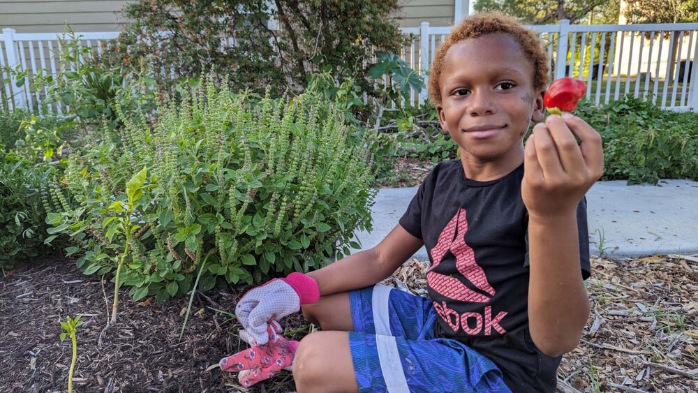 Young boy in the Jordan Park Community Garden.