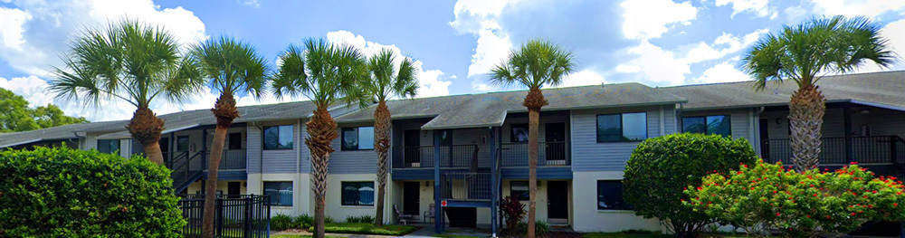 Housing complex and palm trees with blue sky.