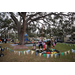 Children tree climbing at Very Merry Holiday Party in Jordan Park.