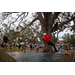 Group of children tree climbing at Very Merry Holiday Party in Jordan Park.